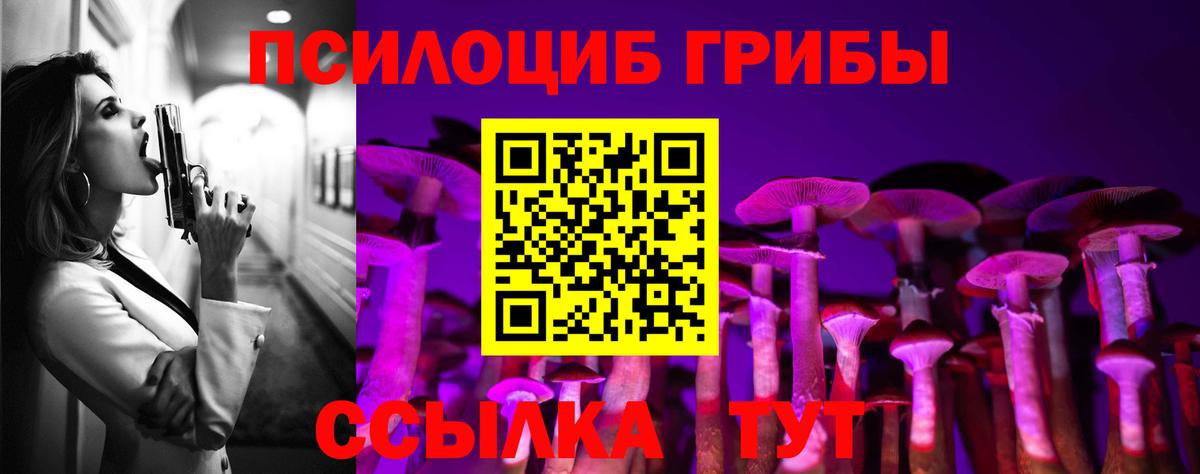 Еманжелинск  Псилоцибиновые грибы Cubensis  Вход с VPN 